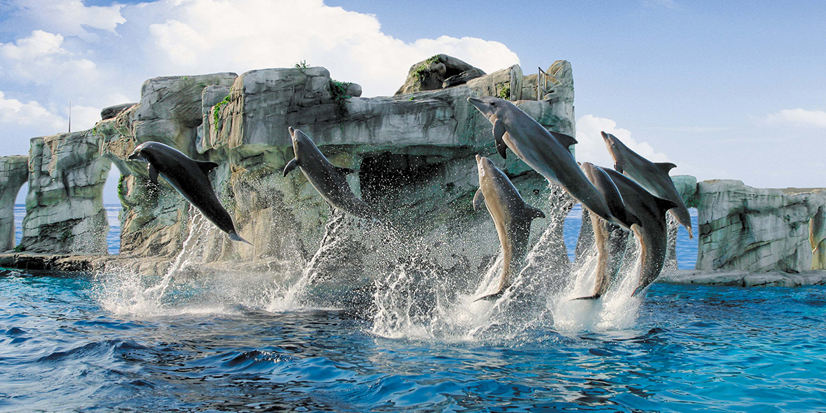 Oltremare-Slide-Home